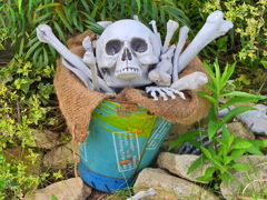 ハロウィーン　１