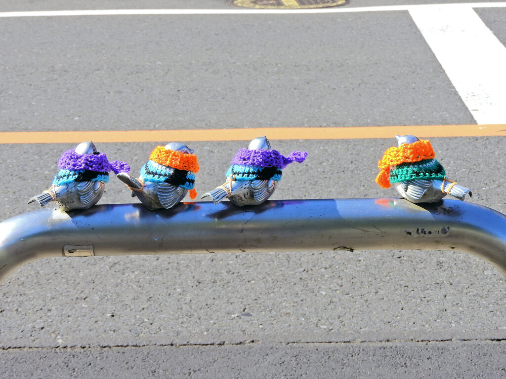 木枯らし1号が吹いたと聞いて・・服を着ました３