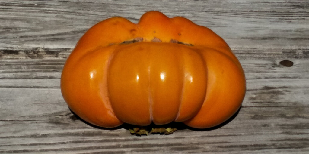 Halloween終わったと思ったら・・こんなの貰った　５