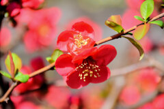 ぼぉぅ～けぇ～　７