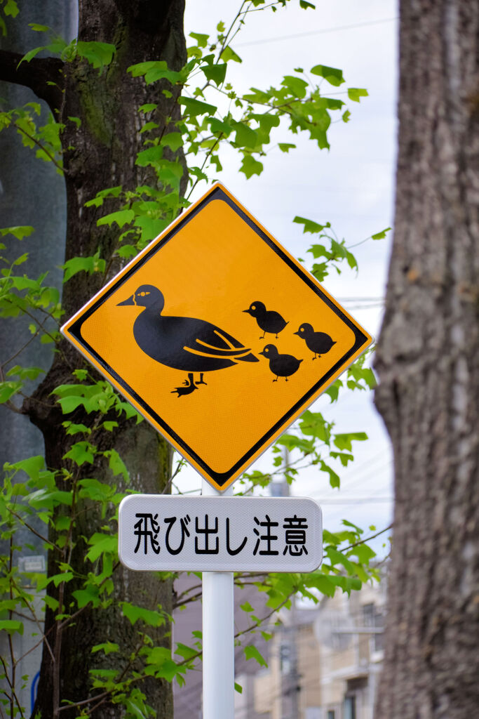 東京新聞神奈川川崎版　1/2