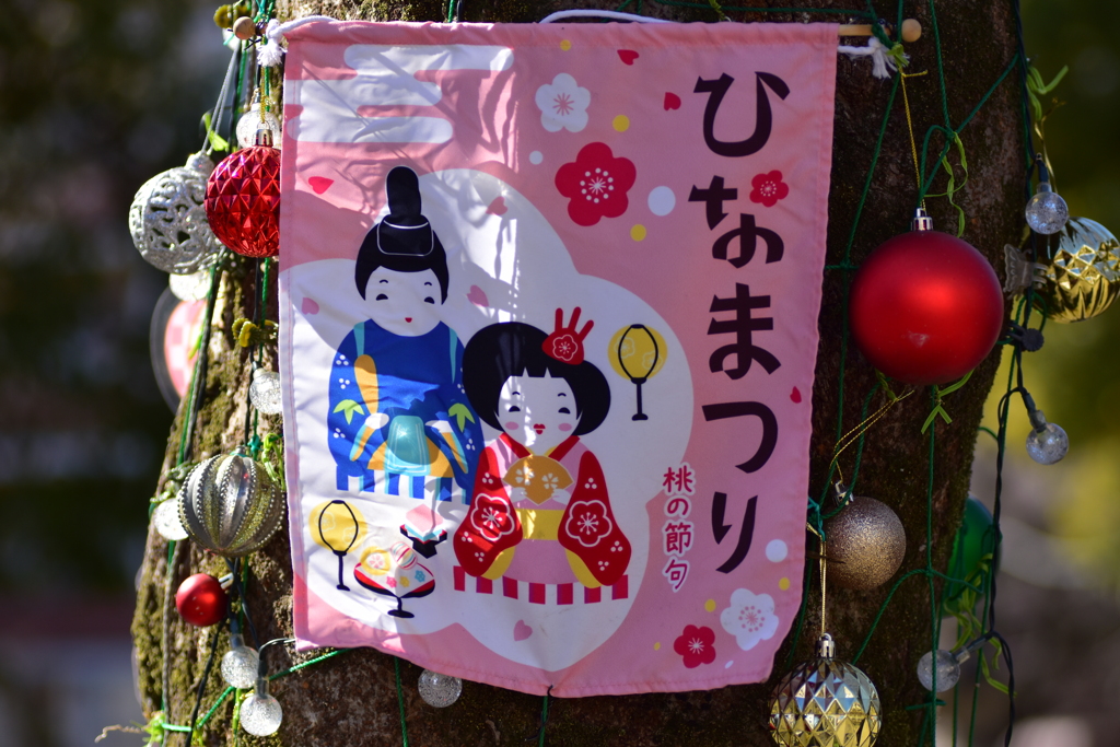 二ヶ領用水路・・武蔵小杉付近で　１