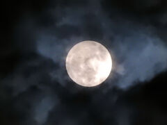 今宵のお月様・ビーバーMoon１