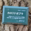 カロリナポプラ 木