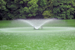 等々力緑地公園・・釣り堀池の・・・噴水