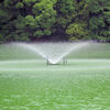 等々力緑地公園・・釣り堀池の・・・噴水