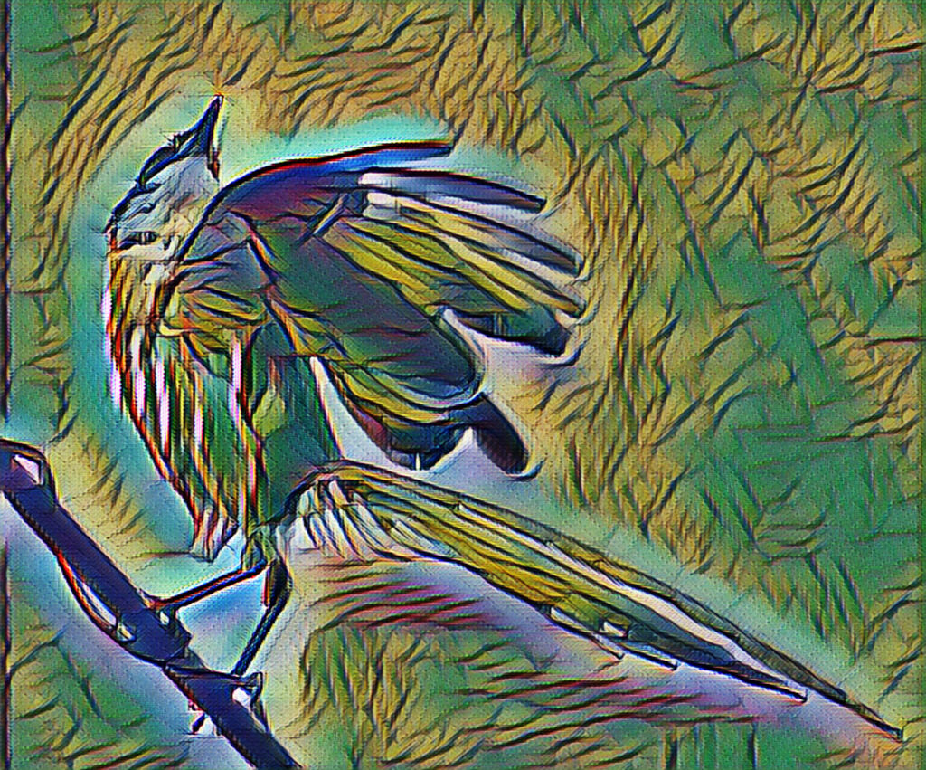 オナガ・・レタッチ加工でお遊び　９