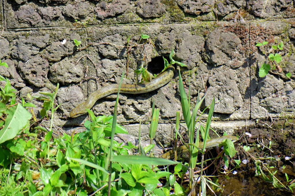 ヘビーにつき閲覧注意！　