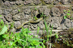 ヘビーにつき閲覧注意！　