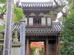 年末の大掃除　撮り溜め紅葉放出　１９