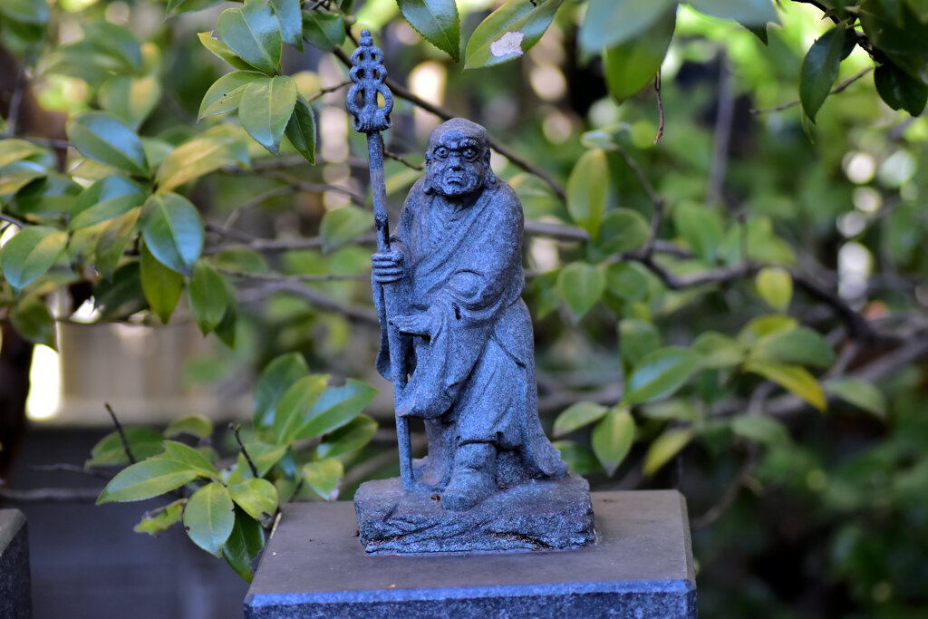 近所のお寺の参道にて・・・３