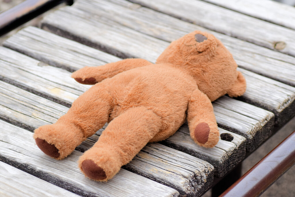 僕は御主人様に捨てられたのかな？　2/4