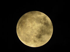 今宵のお月様・ビーバーMoon６
