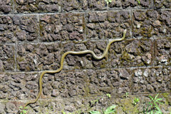 ヘビーにつき閲覧注意！　