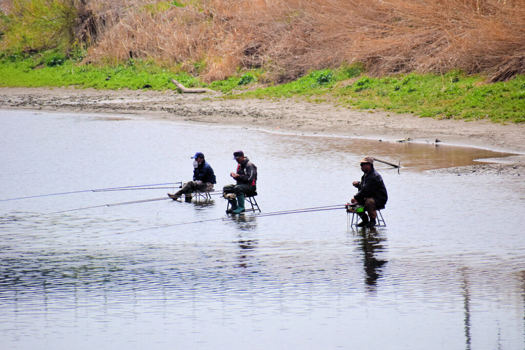 多摩川の釣り人
