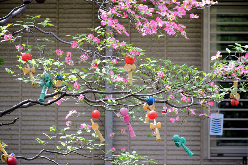 民家の生け垣　大きなテントウ虫の家は・・・３