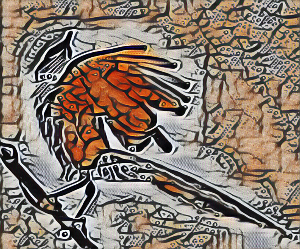 オナガ・・レタッチ加工でお遊び　６