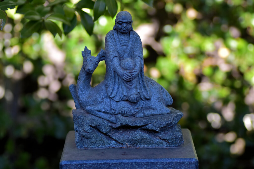 近所のお寺の参道にて・・・７