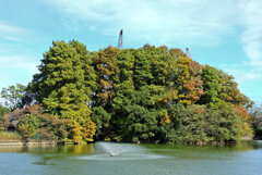 等々力緑地公園・・釣り堀池・紅葉　2/2