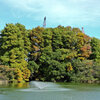 等々力緑地公園・・釣り堀池・紅葉　2/2