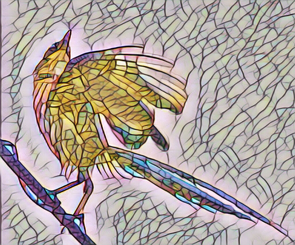 オナガ・・レタッチ加工でお遊び　４