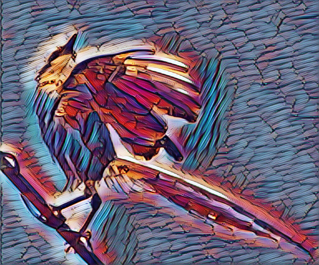 オナガ・・レタッチ加工でお遊び　８