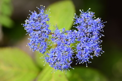 私の♡を探して・・・６