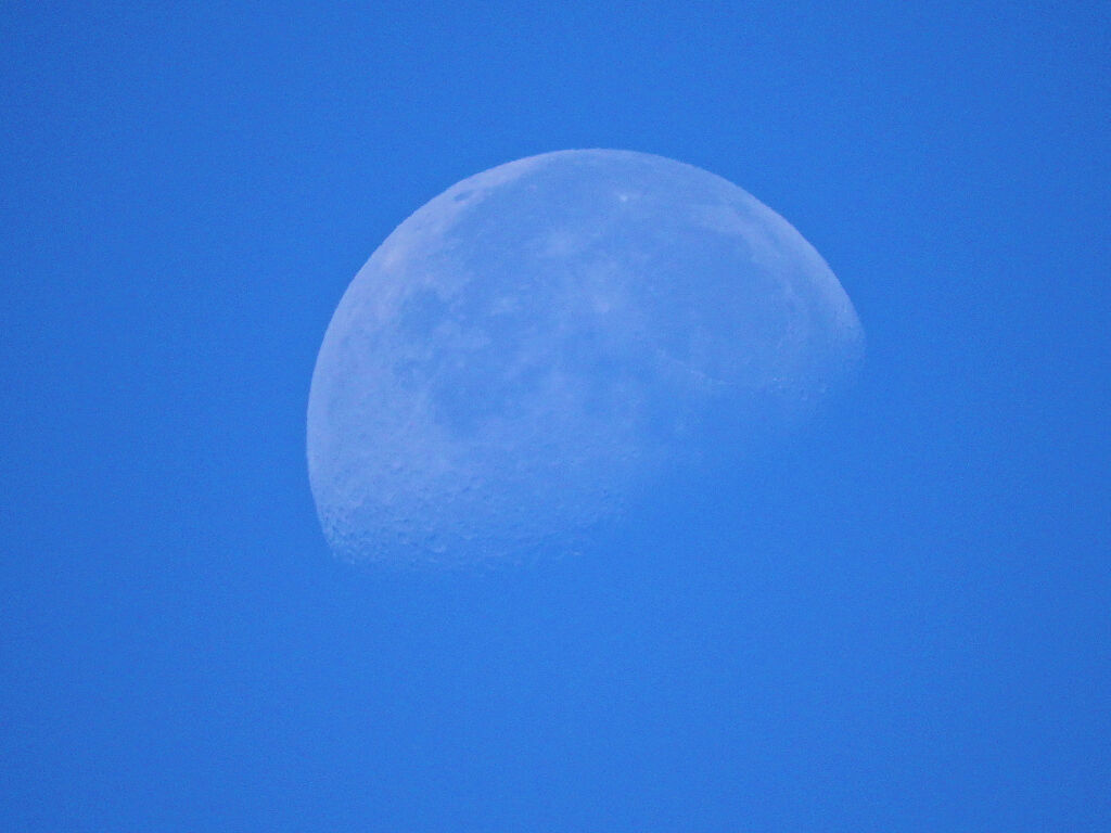 本日、青空に月