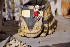 民家の軒先で・・・６