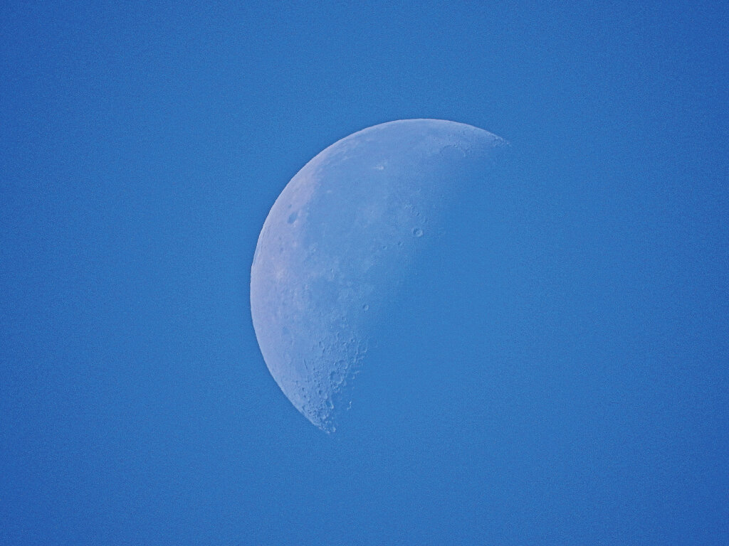 今朝のお月様