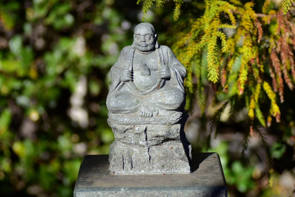 近所のお寺の参道にて・・・１１