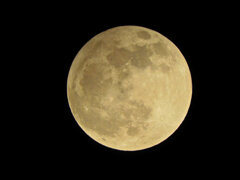 今宵のお月様・ビーバーMoon９