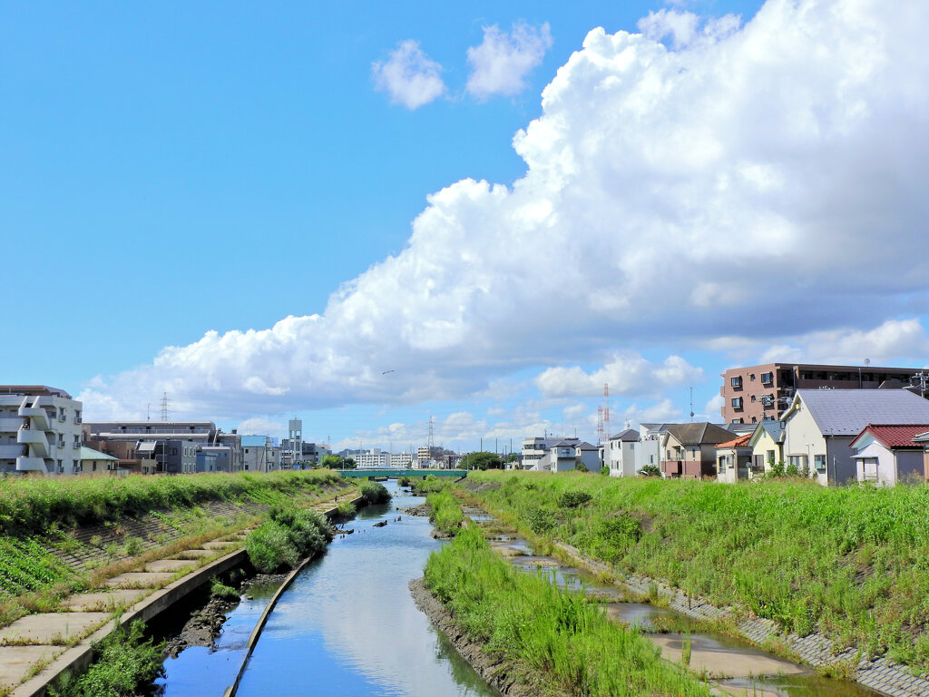 矢上川の風景　３