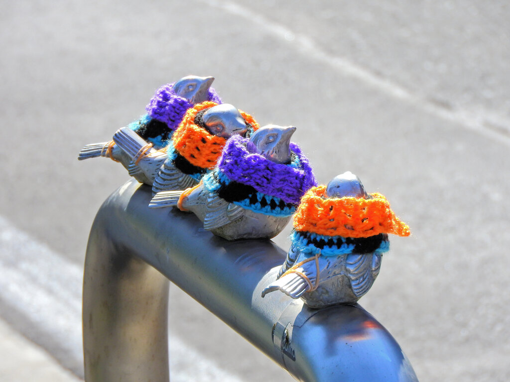 木枯らし1号が吹いたと聞いて・・服を着ました２