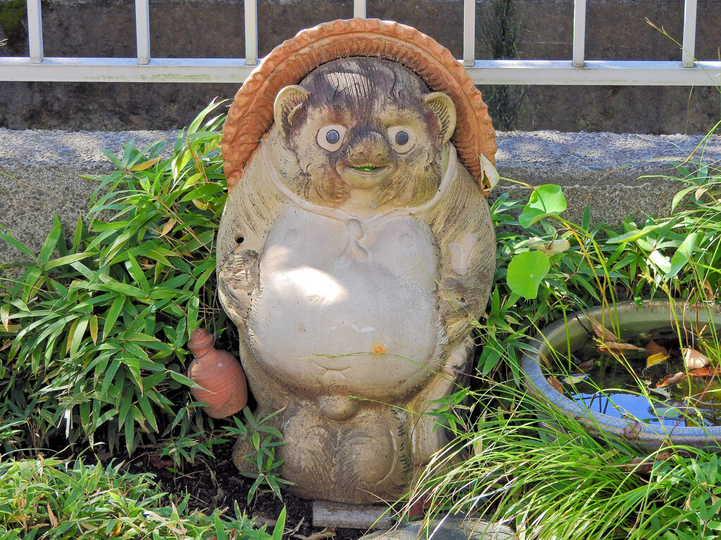 狸だよぉ(∩.∩）　１