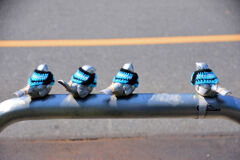 涼しくなったので　服を作って貰いました　６