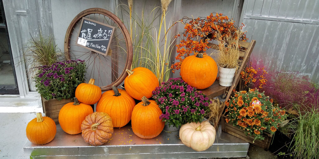 ハロウィン