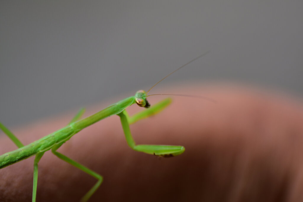 自転車で走行中に虹橋☆爺の腕に現れた　1/2