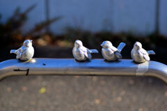 寒いのにまた服を脱がされてしまった・・・2/2