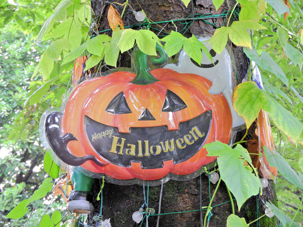 ハロウィン　４