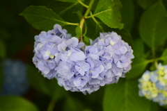 私の♡を探して・・・８