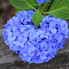 私の♡を探して・・・７