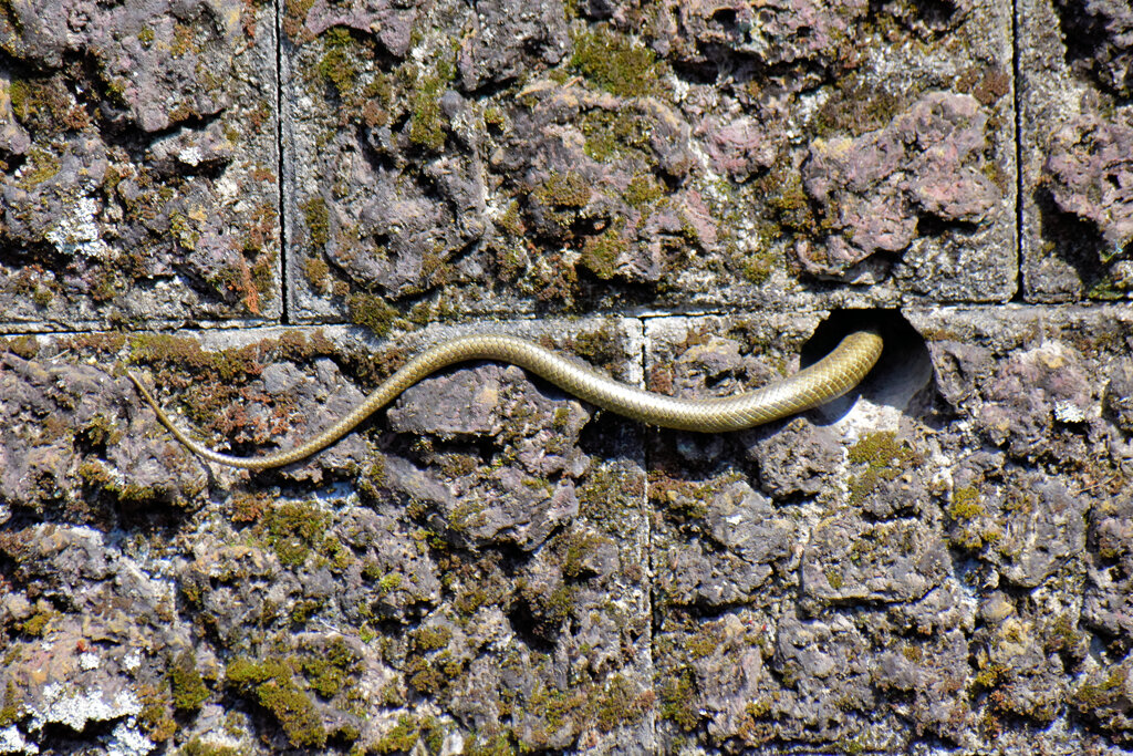 ヘビーにつき閲覧注意！　