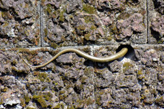 ヘビーにつき閲覧注意！　