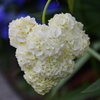 私の♡を探して・・・２