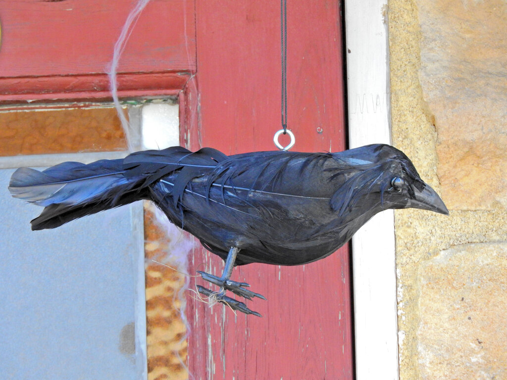 ハロウイン　４