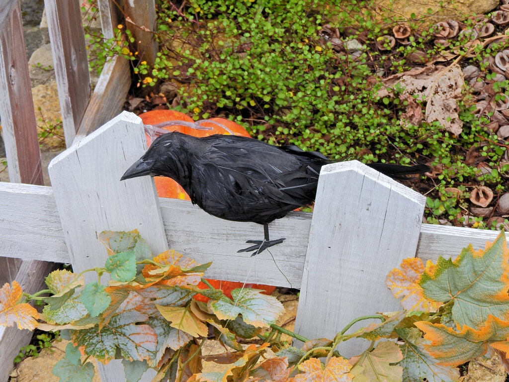 ハロウィン　Halloween　９