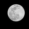 今夜は満月「スノームーン」 2023年で最も遠い満月　１