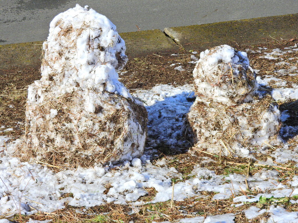 枯れ草まみれの雪だるま