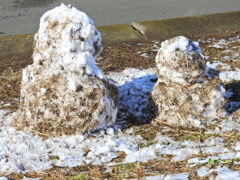 枯れ草まみれの雪だるま
